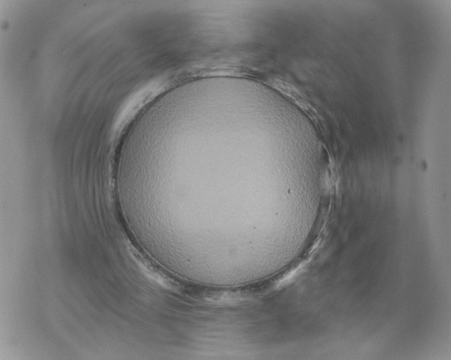 X0000070360293200607072110