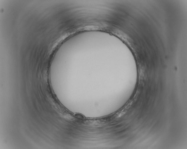 X0000070360297200607072110