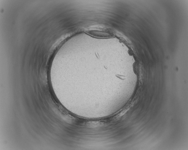 X0000070360298200607072110