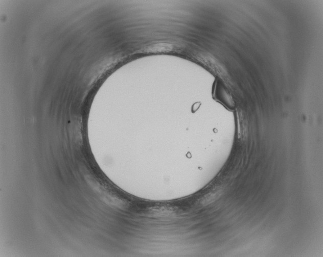 X0000070360300200607072110