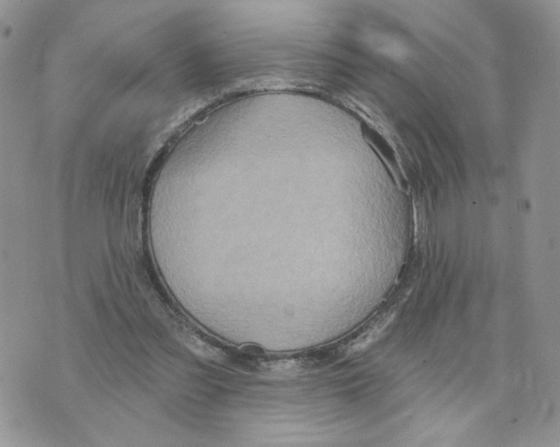 X0000070360301200607072110