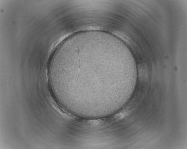 X0000070360302200607072110