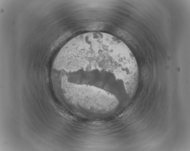 X0000070360303200607072110