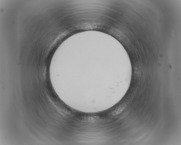 X0000070360304200607072110