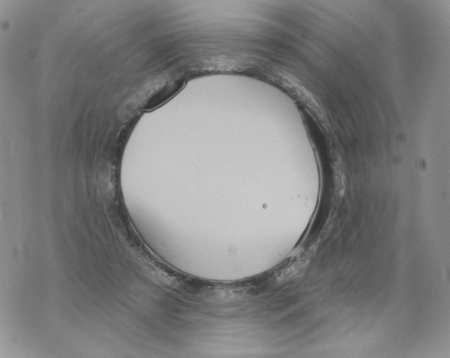 X0000070360305200607072110