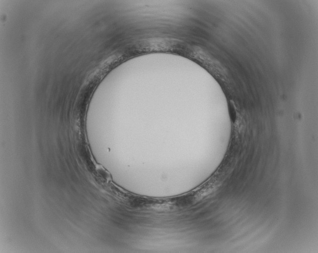 X0000070360306200607072110