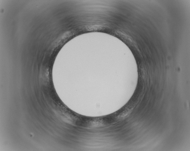 X0000070360308200607072110