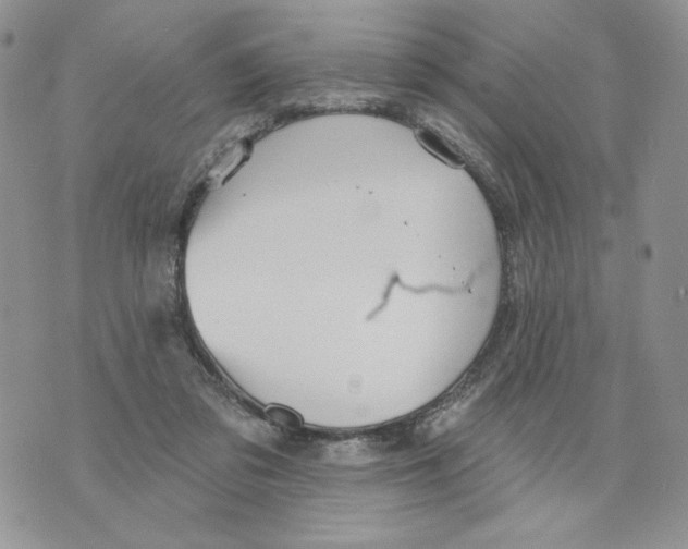 X0000070360309200607072110