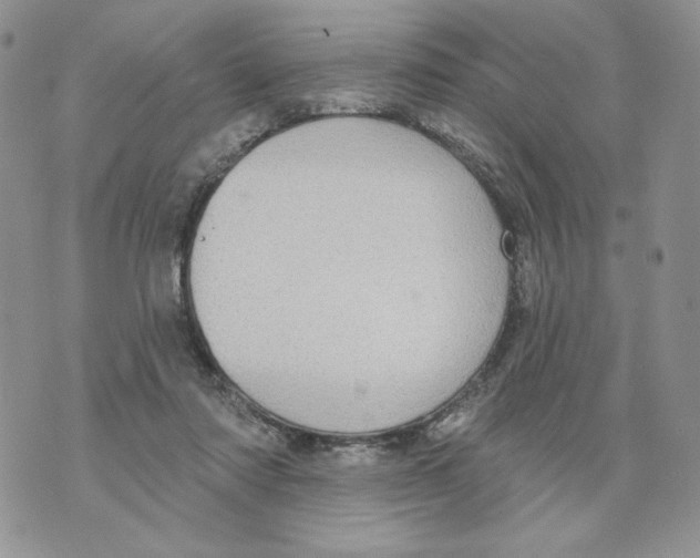 X0000070360310200607072110