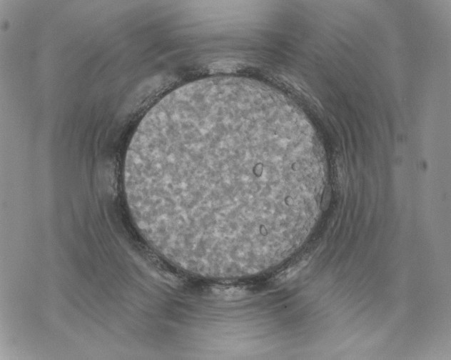 X0000070360311200607072110