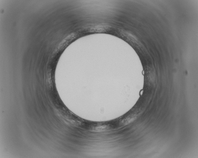 X0000070360312200607072110