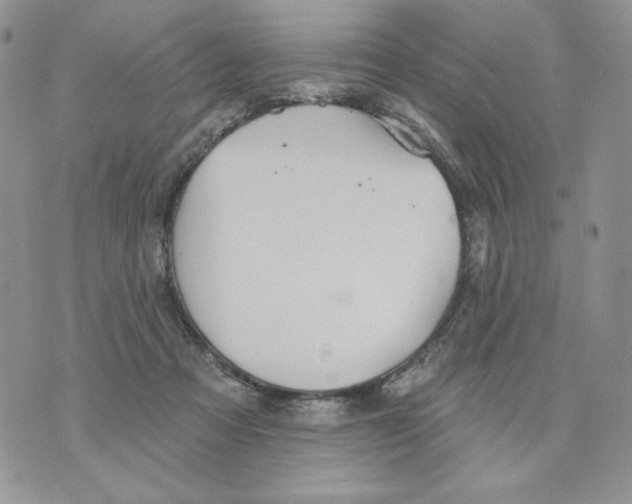 X0000070360313200607072110