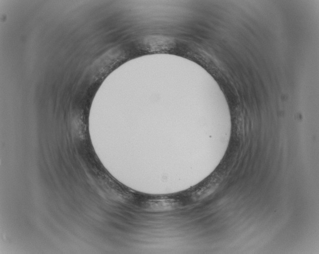 X0000070360316200607072110