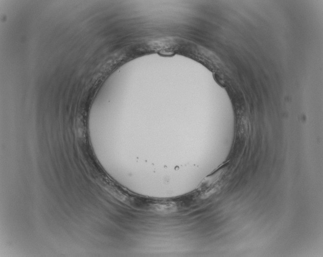 X0000070360317200607072110