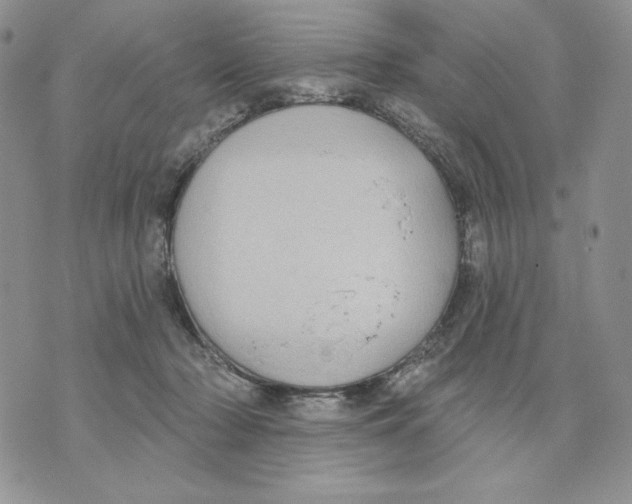 X0000070360318200607072110