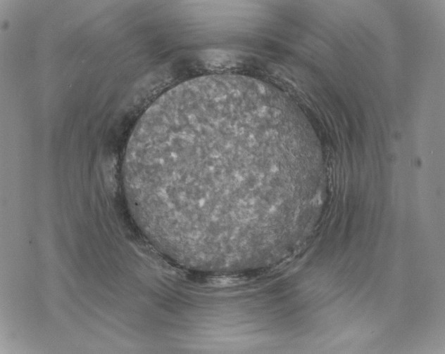 X0000070360319200607072110