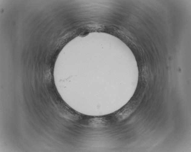 X0000070360320200607072110