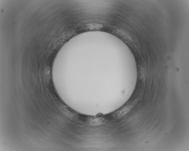 X0000070360321200607072110