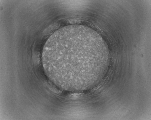 X0000070360323200607072110