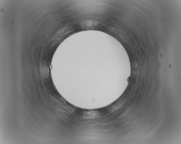 X0000070360324200607072109