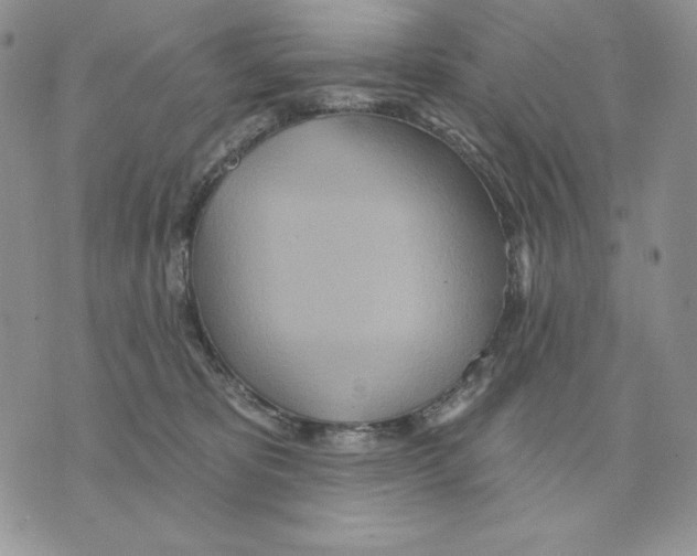 X0000070360325200607072109