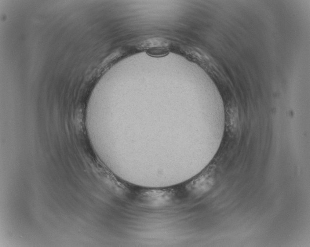 X0000070360326200607072109