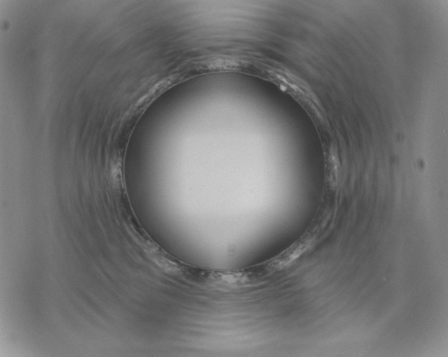 X0000070360329200607072109