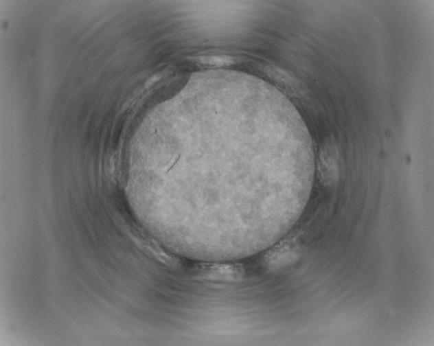 X0000070360330200607072109