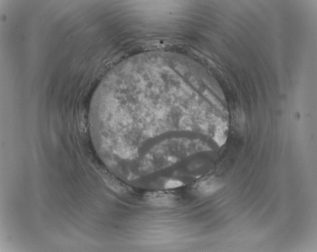 X0000070360331200607072109