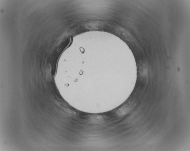 X0000070360332200607072109