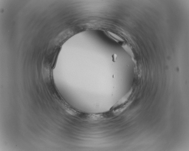 X0000070360333200607072109