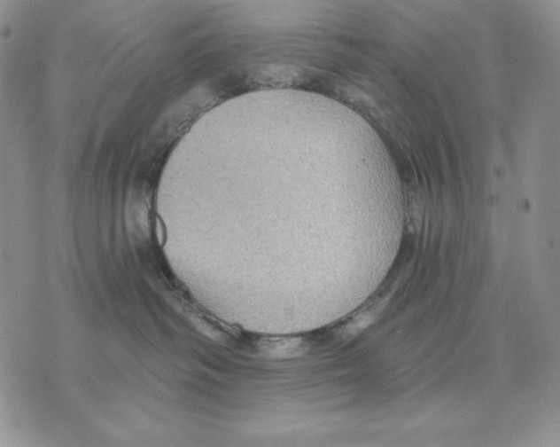 X0000070360334200607072109