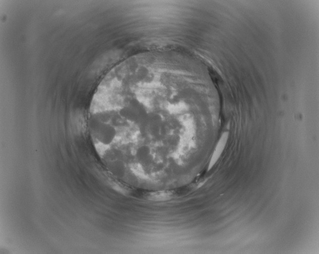 X0000070360335200607072109