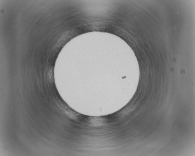 X0000070360336200607072109