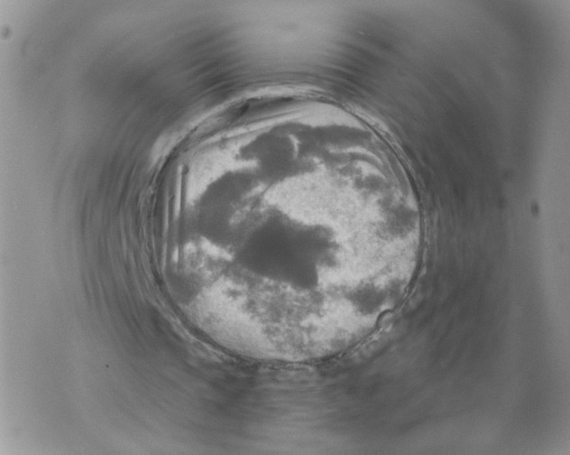 X0000070360337200607072109