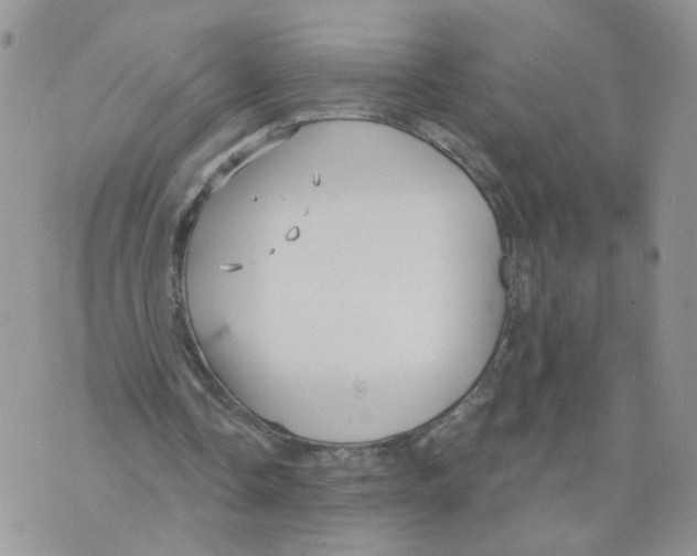 X0000070360338200607072109