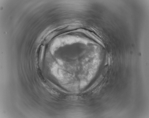 X0000070360339200607072109