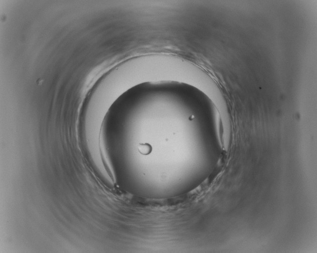 X0000070360340200607072109