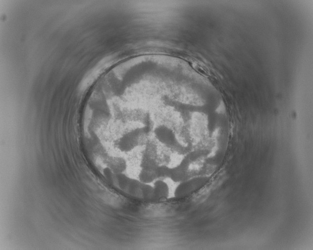 X0000070360341200607072109