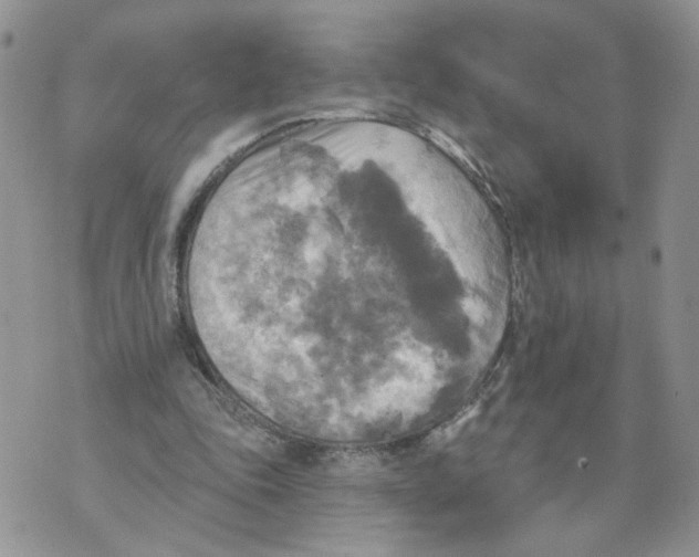 X0000070360343200607072109