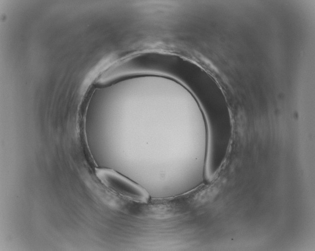 X0000070360344200607072109