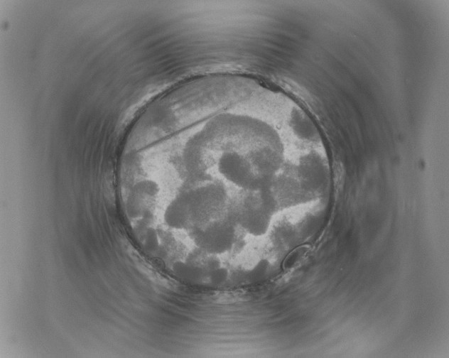 X0000070360345200607072109