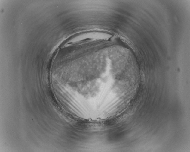 X0000070360347200607072109