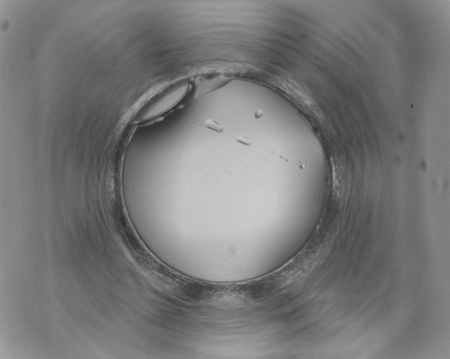 X0000070360348200607072109