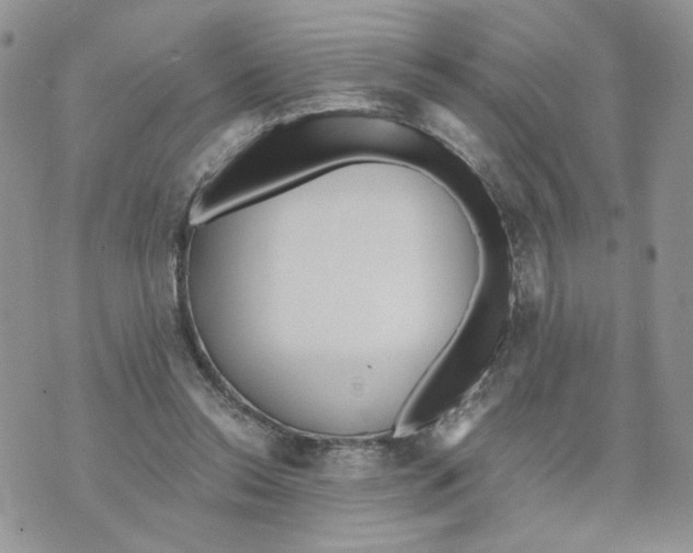 X0000070360350200607072109