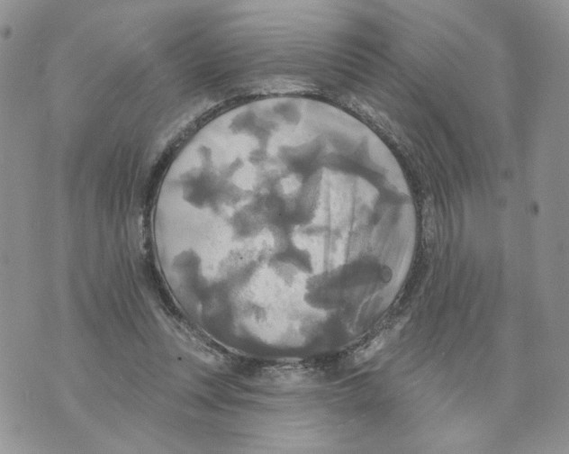 X0000070360351200607072109