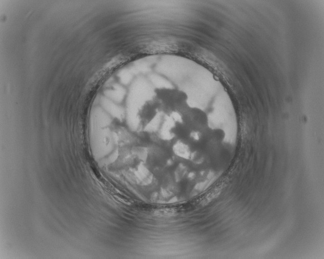 X0000070360353200607072109