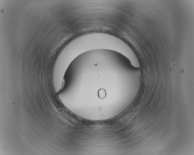 X0000070360356200607072109