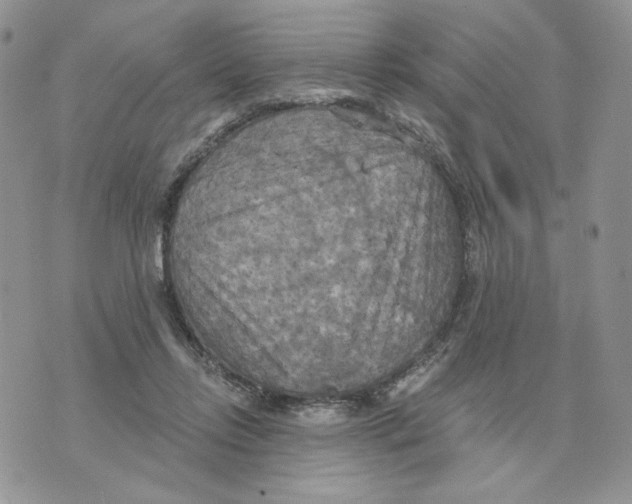 X0000070360358200607072109