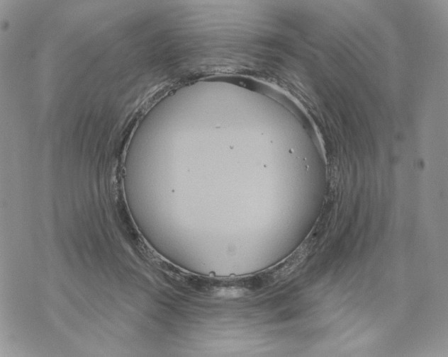 X0000070360360200607072109